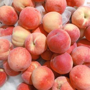 亚洲AV毛片儿激烈的
