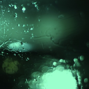 亚洲AV毛片儿激烈的
